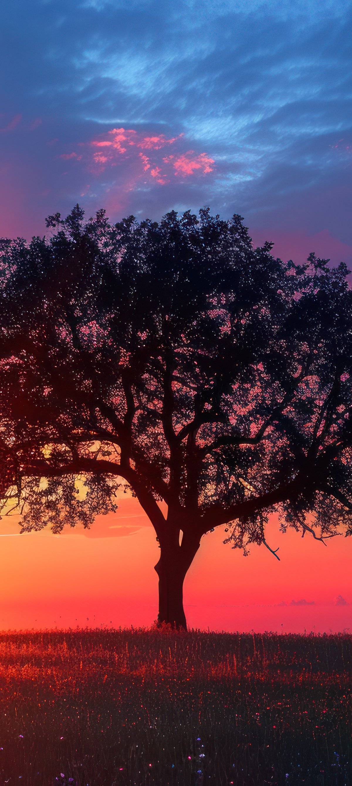 Lone Tree in a Colorful Sunset - Wallpapers for Xiaomi 15 in 1200x2670 resolution