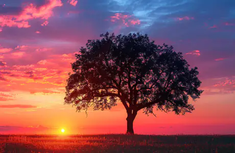 WXGA_1280 wallpapers (1280x800): colorful sunset, field, trees, clouds