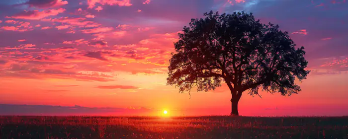 5K2K UltraWide 21:9 wallpapers (5120x2160): colorful sunset, field, trees, clouds