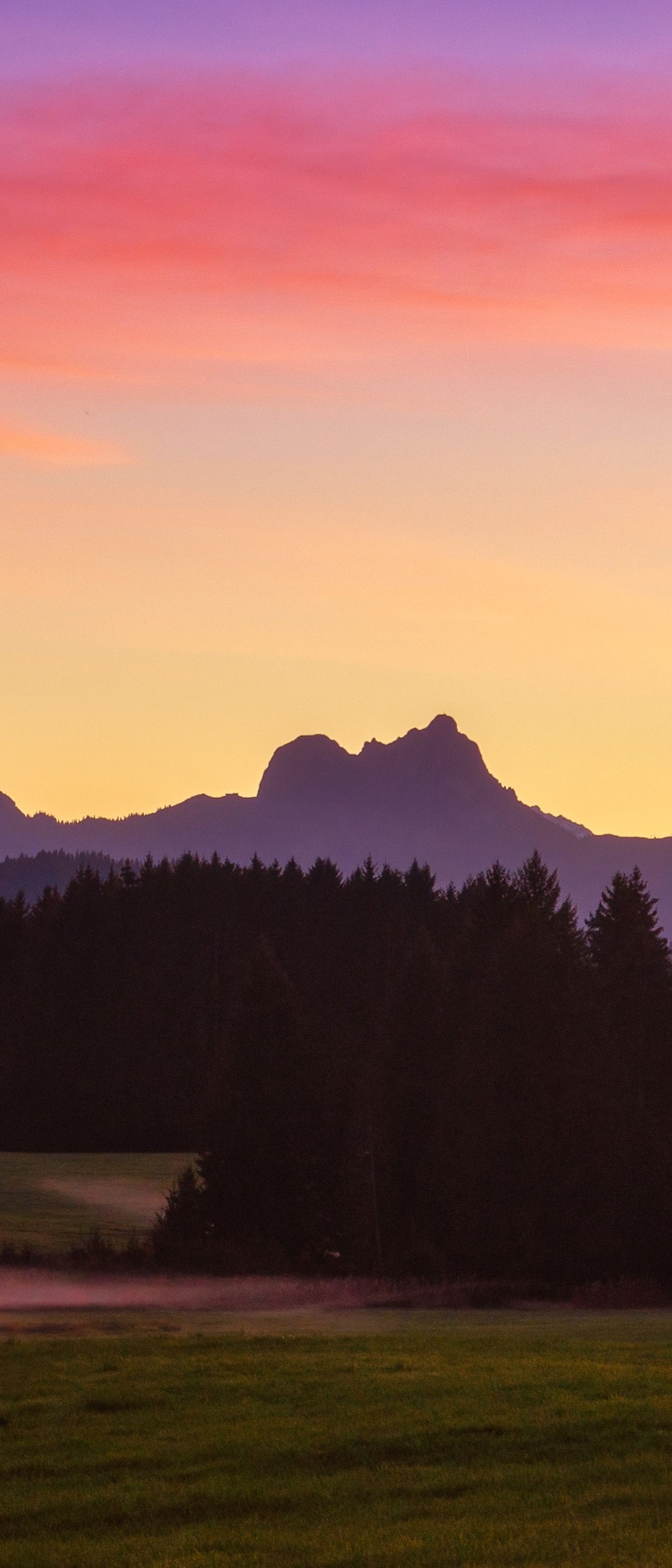 Mountain Forest Valley at Sunset - Wallpapers for Samsung Galaxy Z Flip7, Sony Xperia 5 II/5 III/5 V/10 IV/10 V, Xiaomi Mix Fold 3 in 1080x2520 resolution