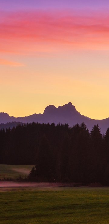 Mountain Forest Valley at Sunset - Wallpapers for Samsung in 360x740 resolution