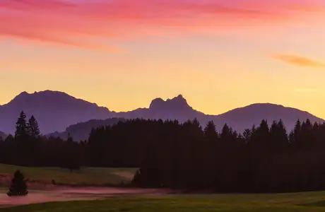 Wallpapers for Lenovo, Huawei (1280x1280): sunset, mountains, valley, forest