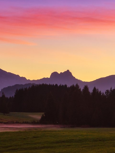 Mountain Forest Valley at Sunset - Wallpapers for HTC/BlackBerry in 480x640 resolution