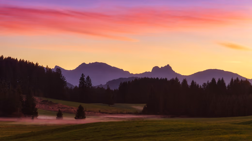 Mountain Forest Valley at Sunset - Wallpapers for Samsung/Xiaomi in 2000x2000 resolution