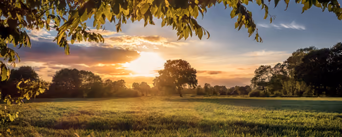 UltraWide 21:9 wallpapers (2560x1080): sunset, field, grass, Sun