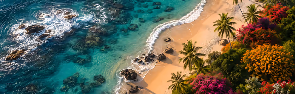 Tropical Wallpapers wallpapers for iPad Pro 10.5″ (2224x2224)