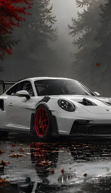 Обои Porsche для Samsung Galaxy S8/S8+/Note 8/S9/S9+/Note 9 (1440x2960): Porsche 911 GT3 RS, лес, дорога, лужа