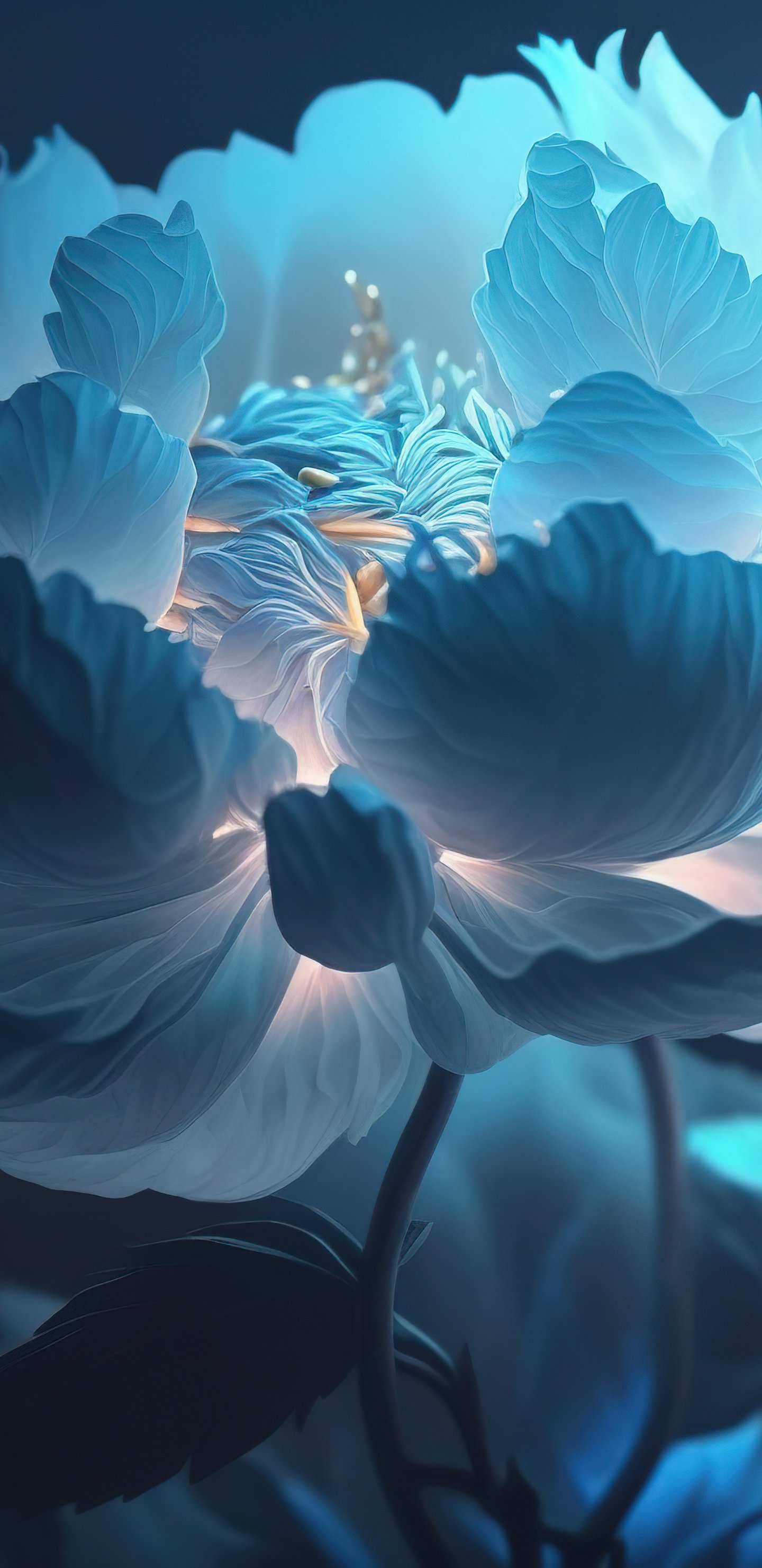 Delicate White Flowers Close-Up - Wallpapers for Samsung Galaxy S8/S8+/Note 8/S9/S9+/Note 9 in 1440x2960 resolution
