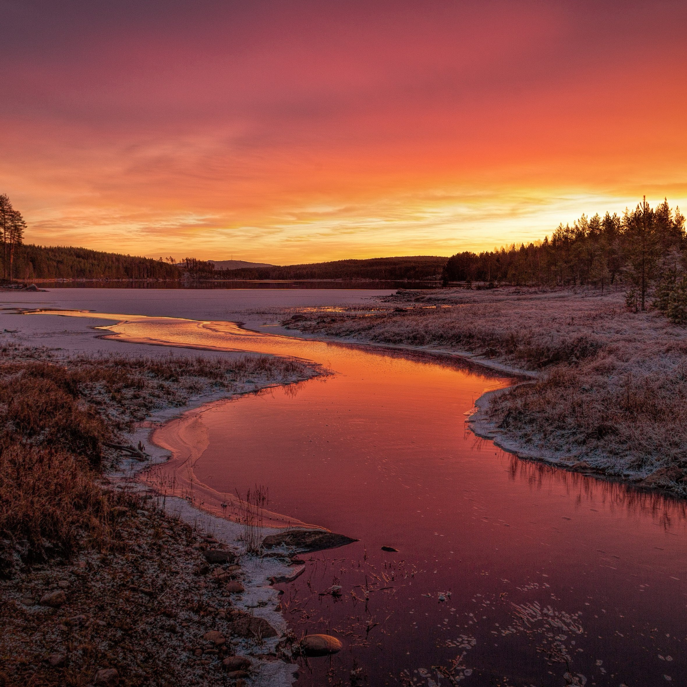 First Snow Forest Stream Sunset - Wallpapers for iPad Air 10.9″ in 2360x2360 resolution