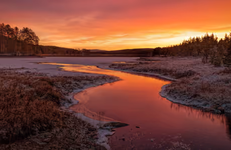 Twilight Wallpapers for iPad Pro 11″ (2388x2388): winter, sunset, stream, forest