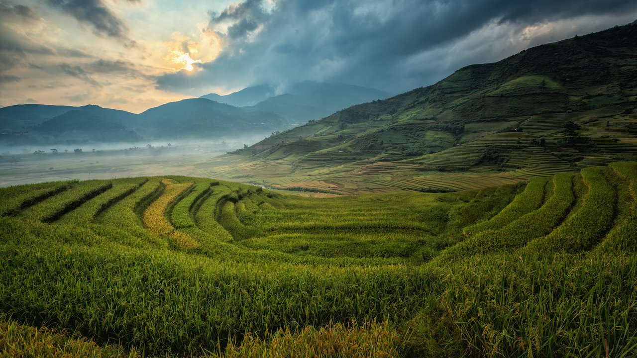 Rice Fields in a Mountain Valley - HDV 720p wallpapers in 1280x720 resolution