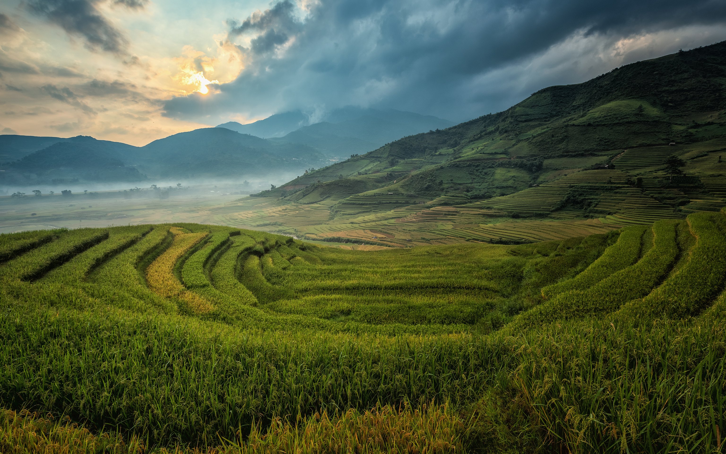 Rice Fields in a Mountain Valley - Wallpapers for Apple MacBook 16″ in 3072x1920 resolution