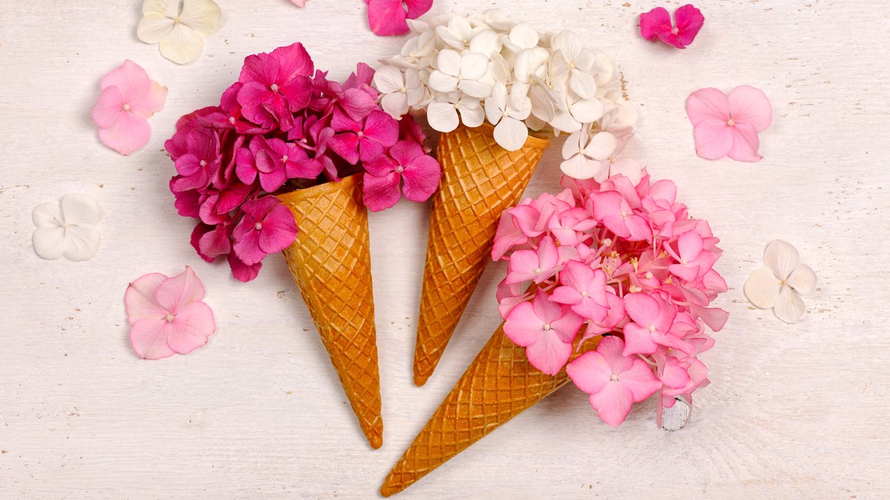 Hydrangea Bouquet in Waffle Cones - HDV 720p wallpapers in 1280x720 resolution
