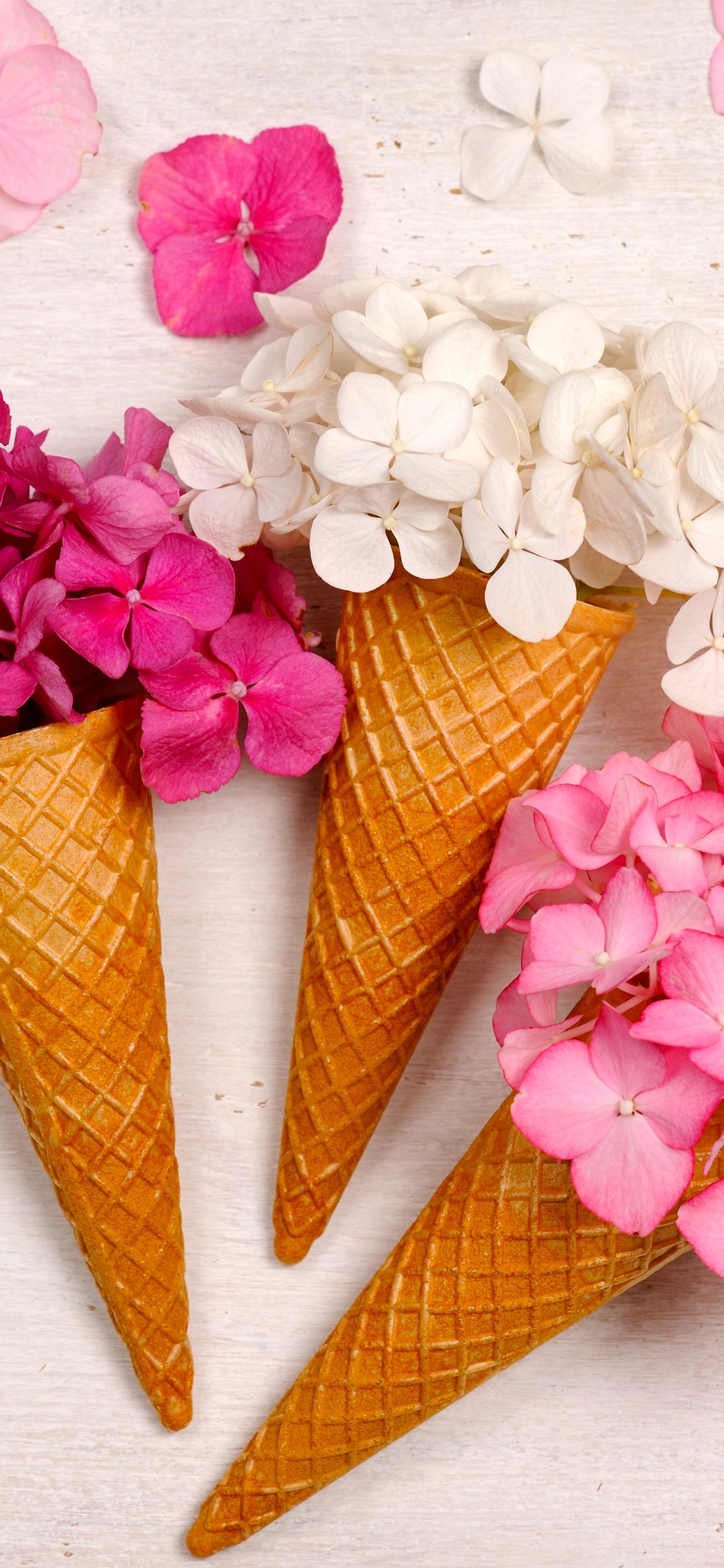 Hydrangea Bouquet in Waffle Cones - Wallpapers for iPhone 13 Pro Max/12 Pro Max/14 Plus in 1284x2778 resolution