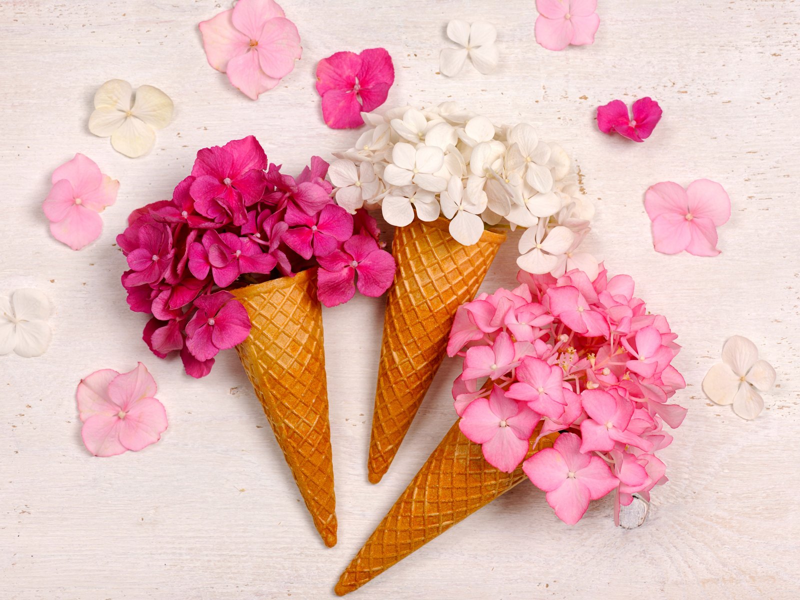 Hydrangea Bouquet in Waffle Cones - UXGA wallpapers in 1600x1200 resolution