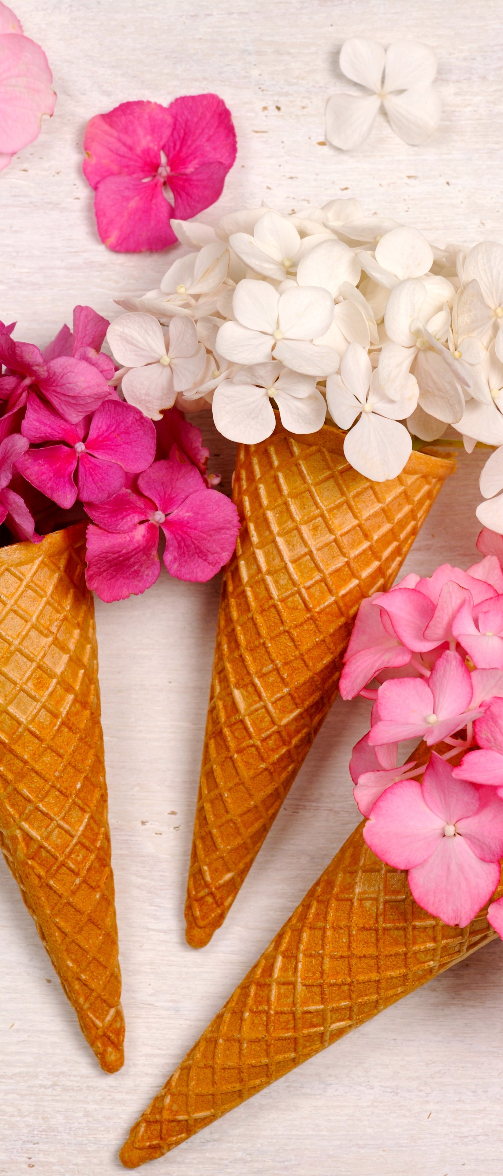 Hydrangea Bouquet in Waffle Cones - Wallpapers for Sony Xperia 1/Xperia 1 III/Xperia PRO-I in 1644x3840 resolution