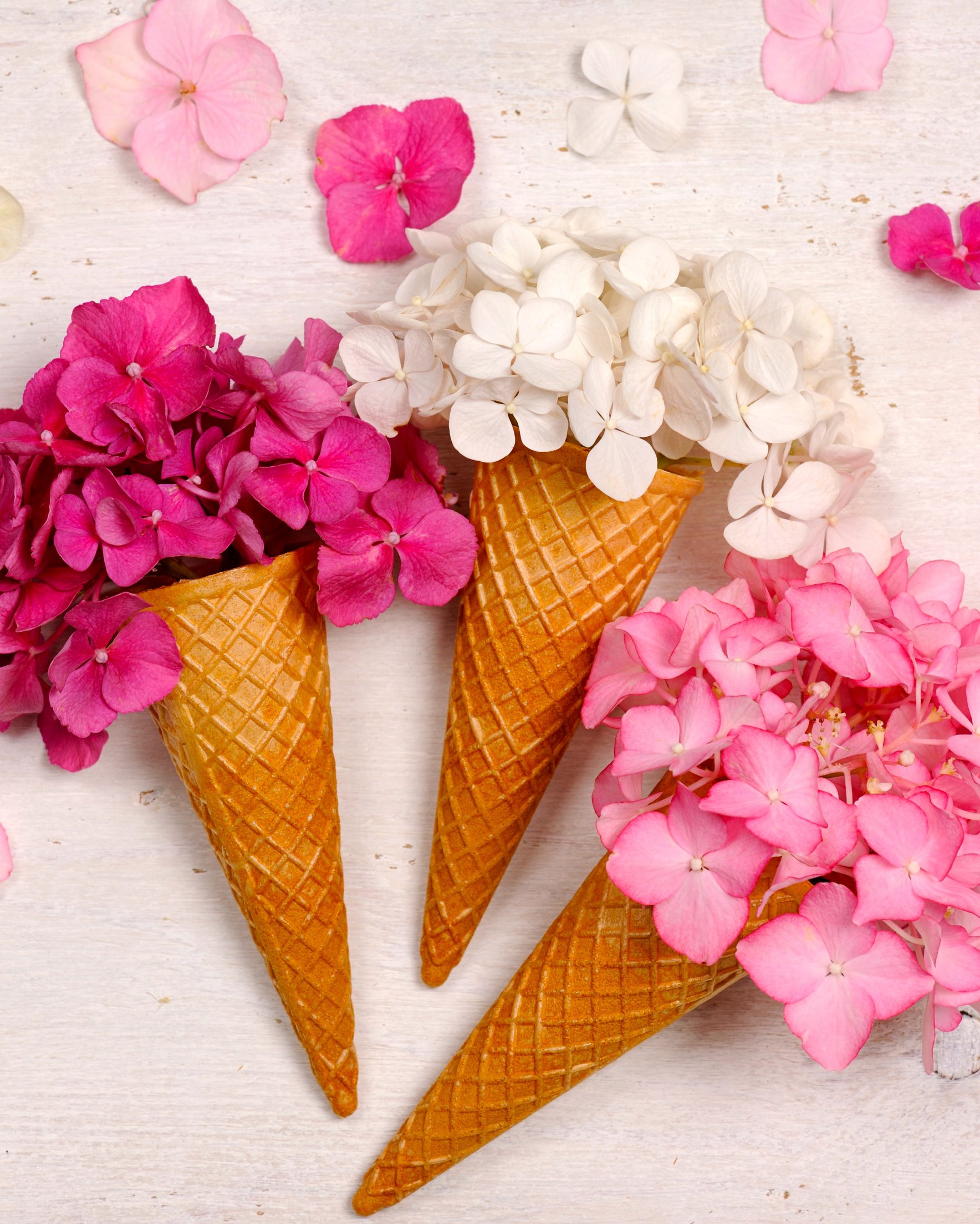 Hydrangea Bouquet in Waffle Cones - Wallpapers for Samsung Galaxy Z Fold 2/3 in 1768x2208 resolution