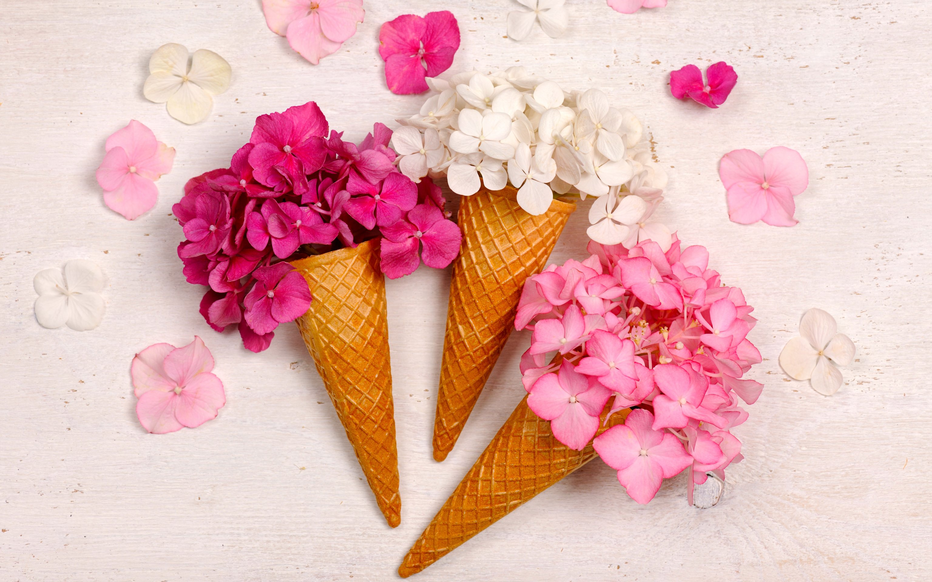 Hydrangea Bouquet in Waffle Cones - Wallpapers for Apple MacBook 16″ in 3072x1920 resolution