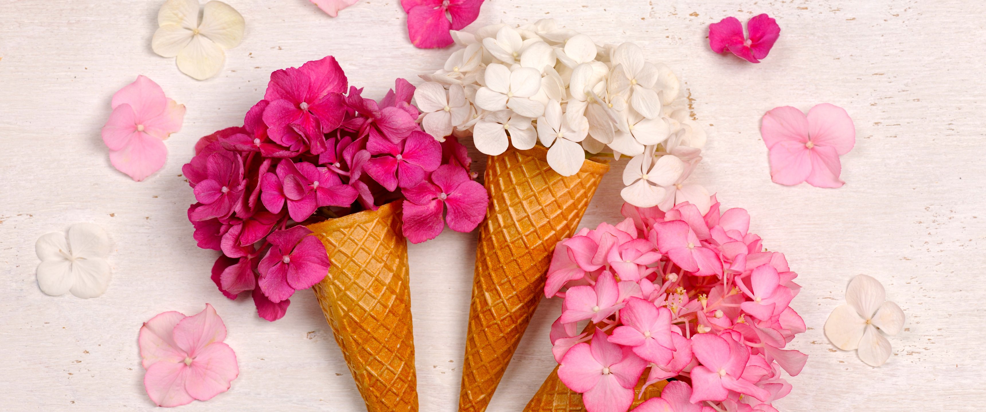 Hydrangea Bouquet in Waffle Cones - UltraWide 21:9 wallpapers in 3440x1440 resolution