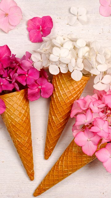 Hydrangea Bouquet in Waffle Cones - Wallpapers for Nokia, Samsung in 360x640 resolution