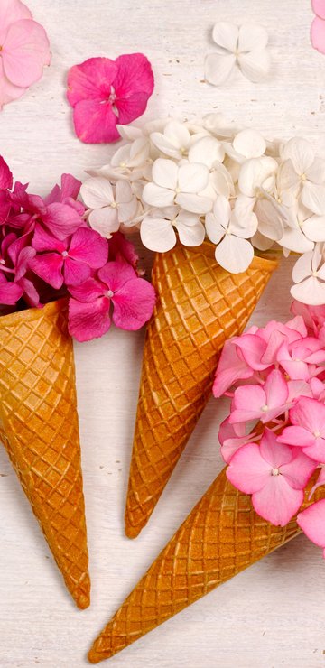 Hydrangea Bouquet in Waffle Cones - Wallpapers for Samsung in 360x740 resolution