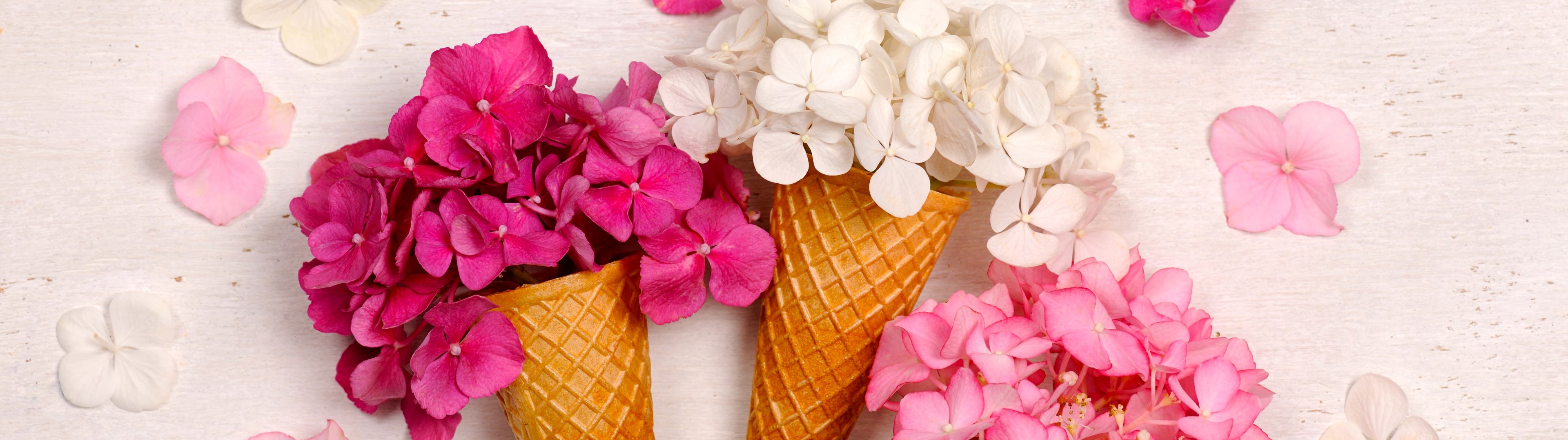 Hydrangea Bouquet in Waffle Cones - UltraWide 32:9 wallpapers in 3840x1080 resolution