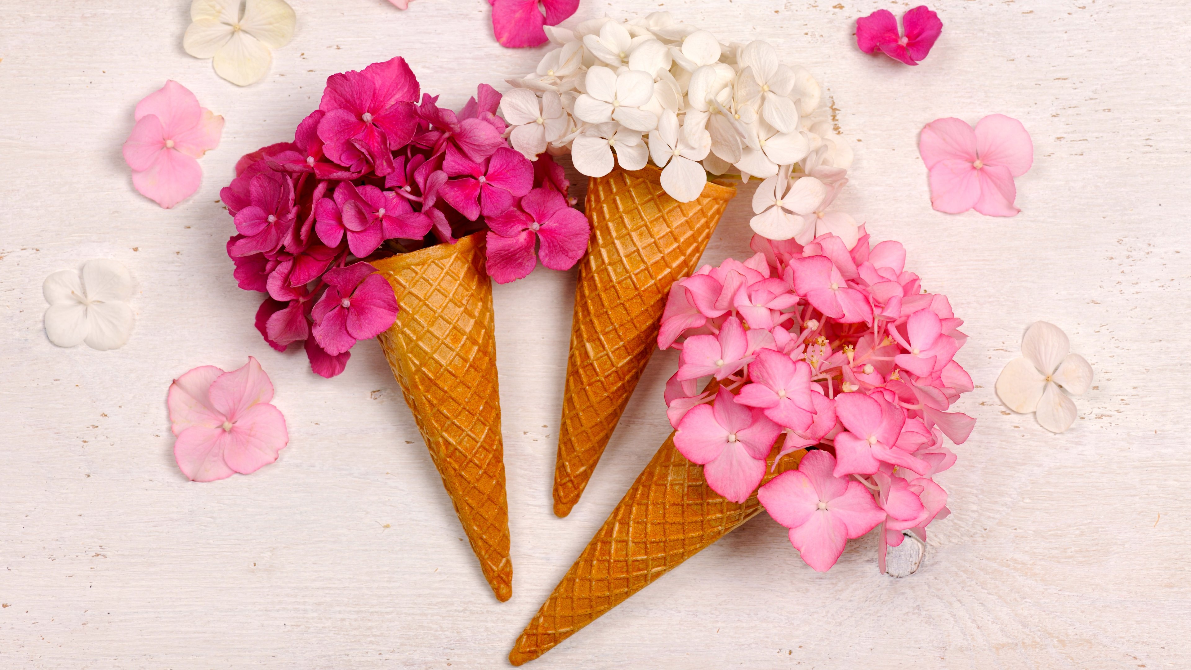 Hydrangea Bouquet in Waffle Cones - 4K PC Wallpapers in 3840x2160 resolution