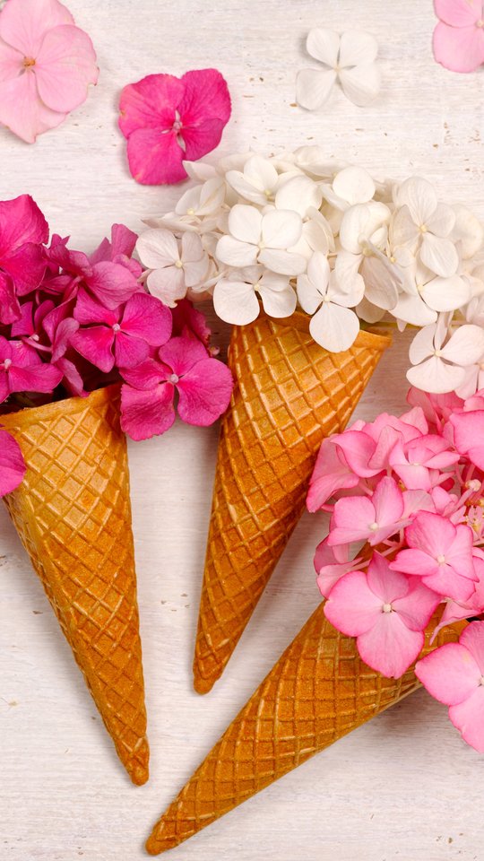 Hydrangea Bouquet in Waffle Cones - Wallpapers for Samsung, HTC, Sony in 540x960 resolution