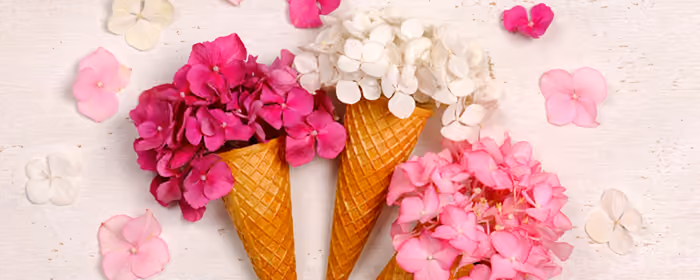 UltraWide 21:9 Arrangement wallpapers (3440x1440): ice cream, hydrangea, bouquet, waffle