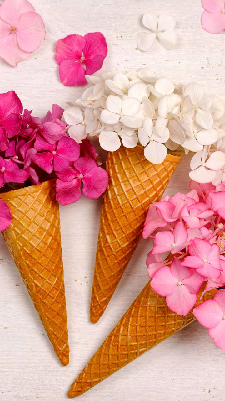 Hydrangea Bouquet in Waffle Cones - Wallpapers for Samsung/LG in 720x1280 resolution