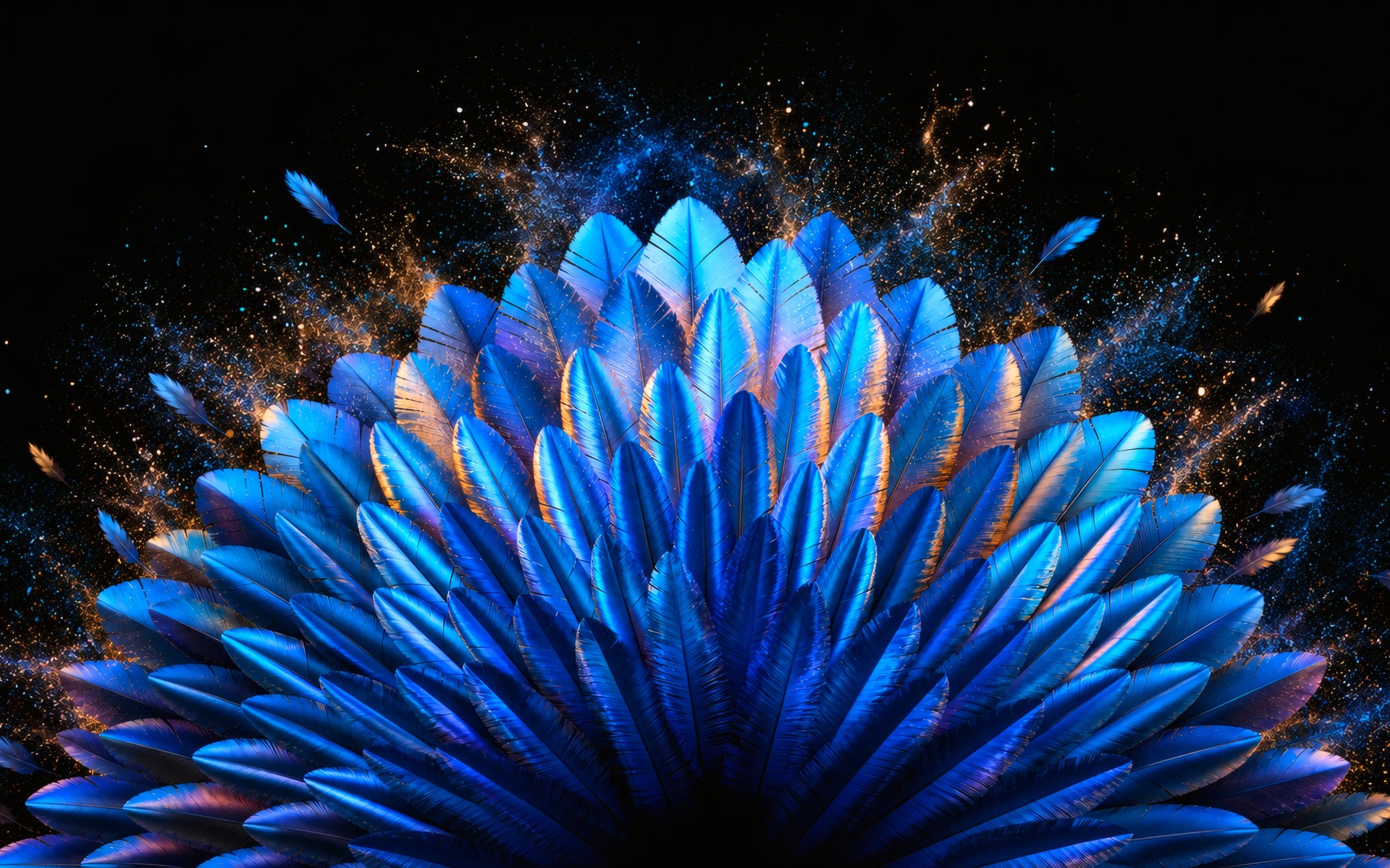 Composition of exotic blue feathers - WUXGA wallpapers in 1920x1200 resolution