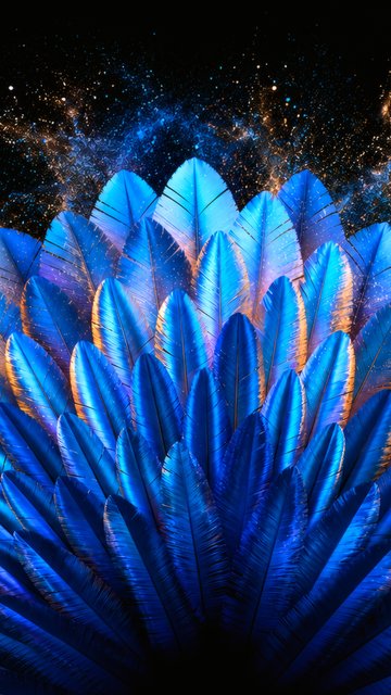 Composition of exotic blue feathers - Wallpapers for Nokia, Samsung in 360x640 resolution