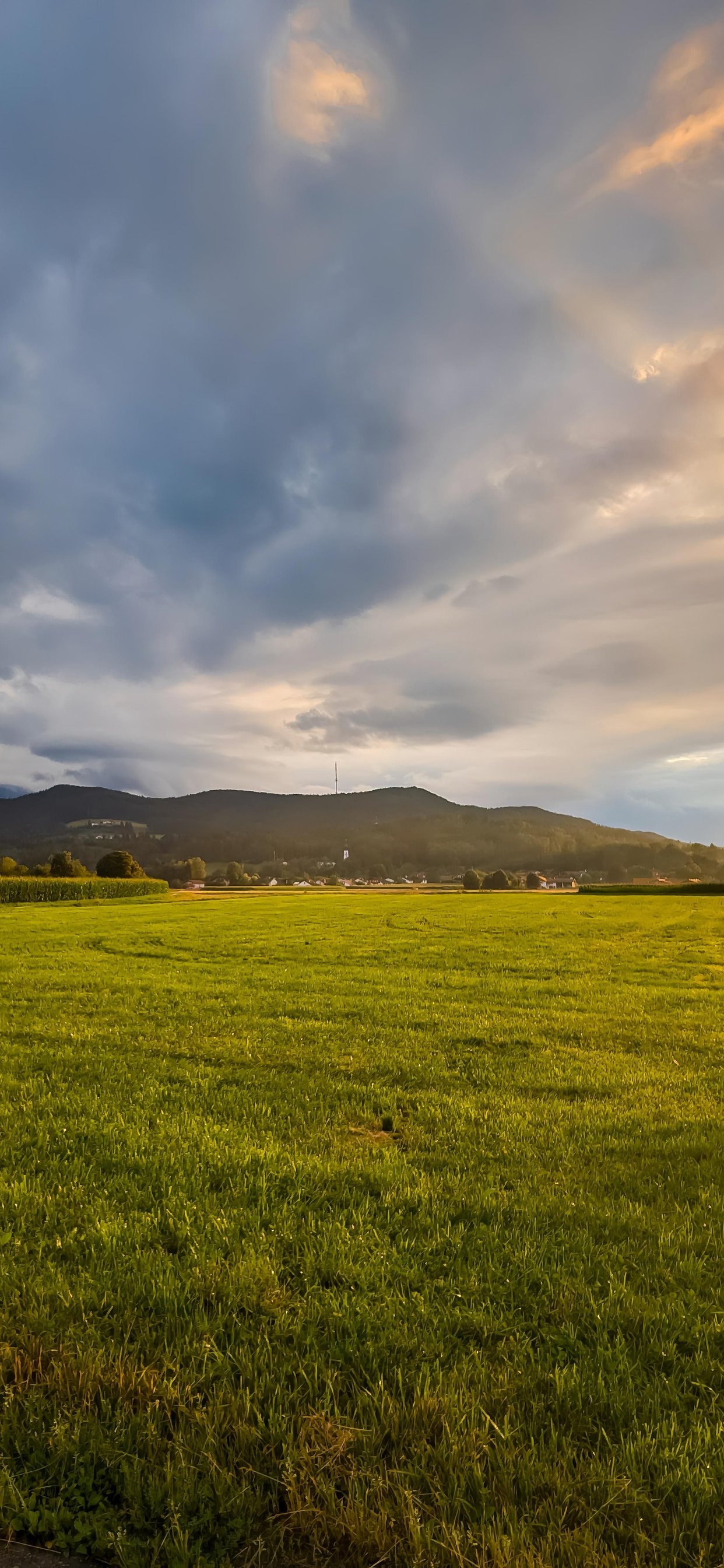 Sunset panorama over a green field - Wallpapers for iPhone 11 Pro Max in 1242x2688 resolution