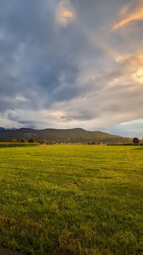Sunset panorama over a green field - Wallpapers for LG/ASUS in 480x854 resolution