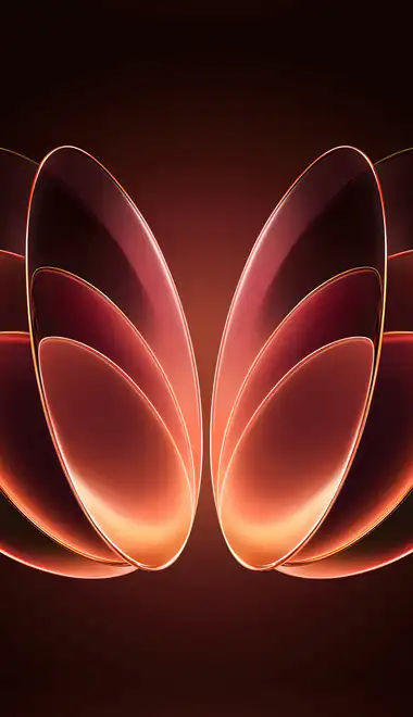 Wallpapers for Honor/Huawei (1080x2376): petals, gradient, geometry, glow