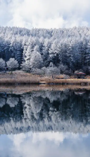 Wallpapers for Samsung, HTC, Sony (540x960): winter, forest, lake, reflection