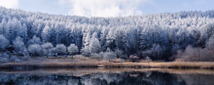 Nature wallpapers: winter, forest, lake, reflection