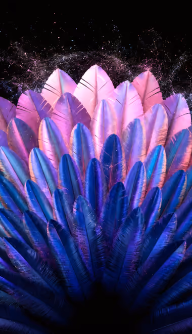 Abstractions wallpapers: feathers, sparks, particles, glow
