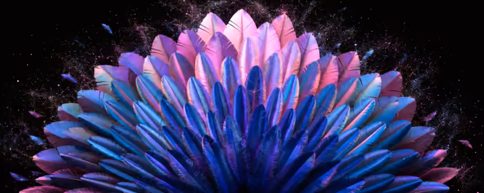 Abstractions wallpapers: feathers, sparks, particles, glow