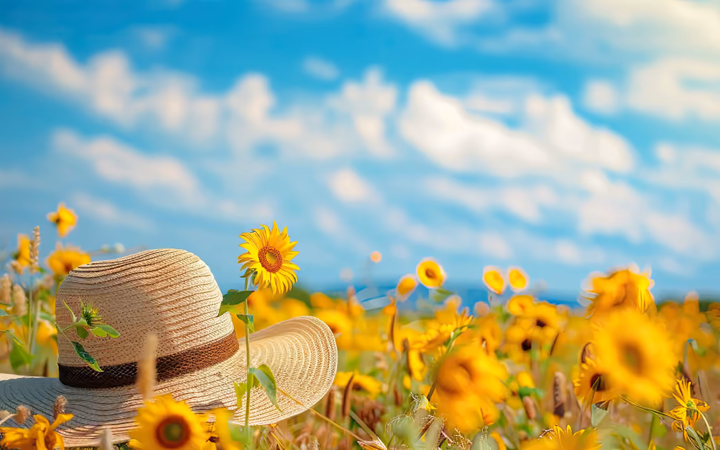 Straw Hat in a Sunflower Field — desktop and phone wallpaper, free download