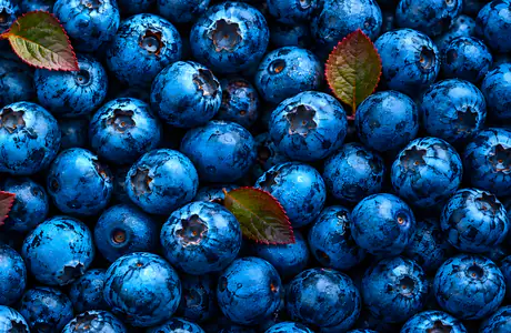 SXGA Texture wallpapers (1280x1024): blueberry, leaves, berries, harvest