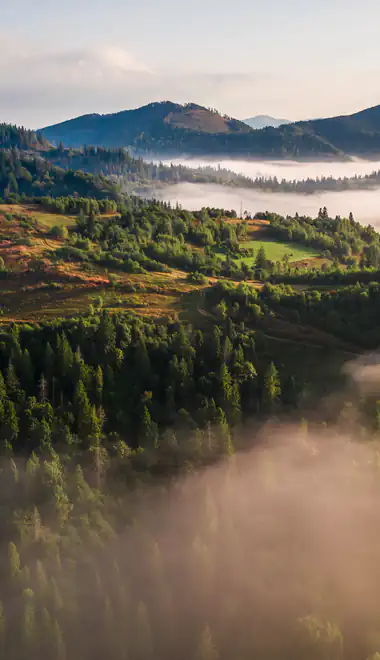 Sunshine Wallpapers for Samsung Galaxy Z Fold4/Z Fold5/Z Fold6 (1812x2176): mountains, forest, fog, valley