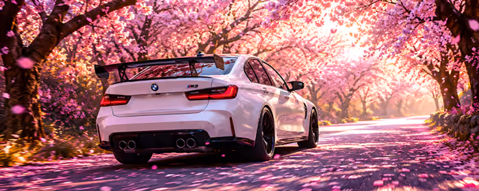 Обои для двух мониторов (7680x2160): BMW M3, обвес, сакура, лепестки