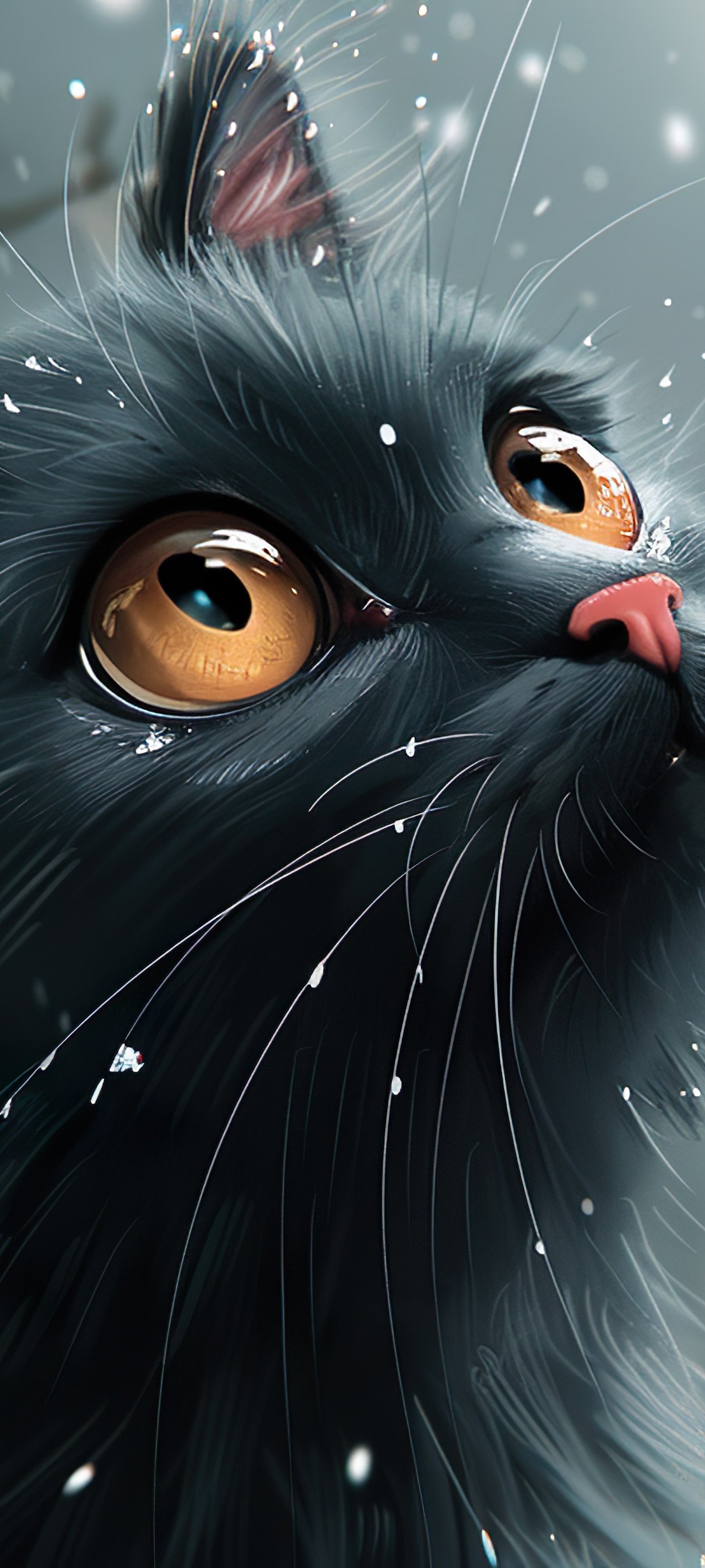 Kind black cat with big eyes - Wallpapers for Xiaomi 13 Ultra/14 Ultra/15 Ultra/17 Pro Max, Samsung Galaxy S20/S20 Ultra/S21 Ultra in 1440x3200 resolution