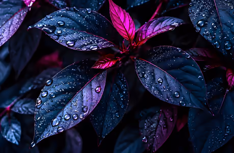 Garden Wallpapers for Samsung Galaxy Tab S9 FE+/Tab S11, Xiaomi Pad 5, Redmi Pad 2 Pro, POCO Pad (2560x2560): leaves, dew, drops, close-up