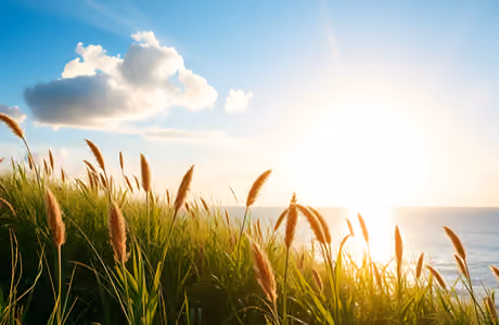Coast Wallpapers for Samsung Galaxy Tab S9+ (2800x2800): sea, grass, sky, clouds
