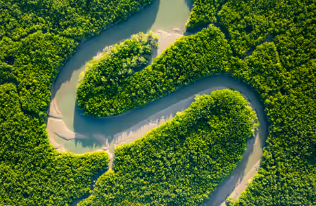 Nature wallpapers: river, forest, greenery, sand