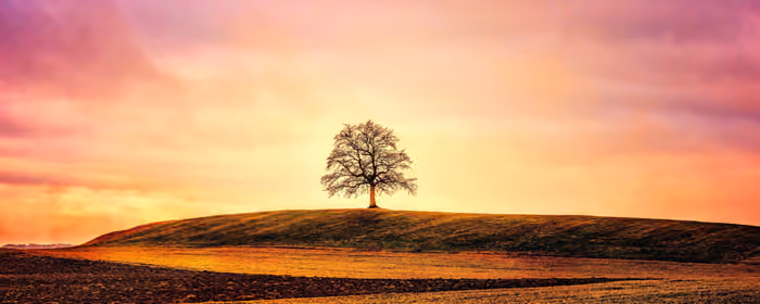 UltraWide 32:9 Nature wallpapers (5120x1440): colorful sunset, field, trees, hills
