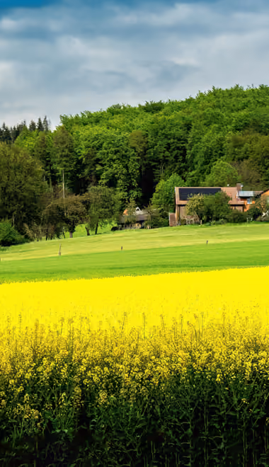 House Wallpapers for Samsung Galaxy M55, POCO M4/X4/X5, Xiaomi Redmi 12/13/Note 13/Note 14/Note 14S (1080x2400): spring, field, forest, flowers