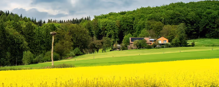 UltraWide 21:9 Nature wallpapers (2560x1080): spring, field, forest, flowers
